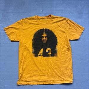 Vintage Pittsburgh Steelers Troy Polamalu Fear the Hair Graphic T-Shirt